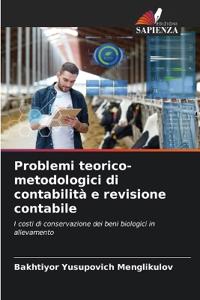 Problemi teorico-metodologici di contabilità e revisione contabile