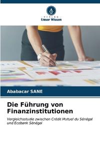 Die Führung von Finanzinstitutionen