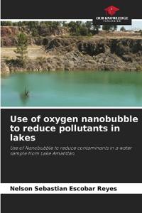 Use of oxygen nanobubble to reduce pollutants in lakes