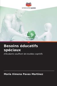 Besoins éducatifs spéciaux