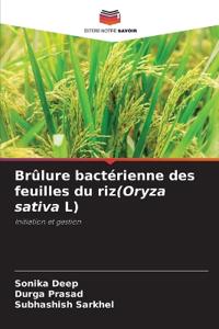 Br?lure bact?rienne des feuilles du riz(Oryza sativa L)