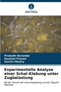 Experimentelle Analyse einer Schal-Klebung unter Zugbelastung