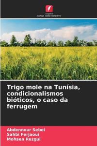 Trigo mole na Tunísia, condicionalismos bióticos, o caso da ferrugem