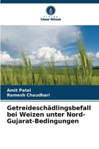 Getreideschädlingsbefall bei Weizen unter Nord-Gujarat-Bedingungen