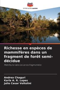 Richesse en espèces de mammifères dans un fragment de forêt semi-décidue