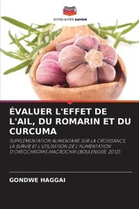 Évaluer l'Effet de l'Ail, Du Romarin Et Du Curcuma