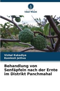Behandlung von Senfäpfeln nach der Ernte im Distrikt Panchmahal
