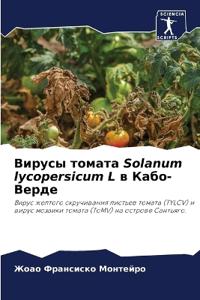 ?????? ?????? Solanum lycopersicum L ? ????-?????