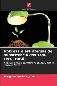Pobreza e estratégias de subsistência dos sem-terra rurais