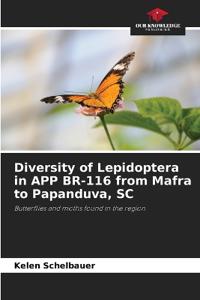 Diversity of Lepidoptera in APP BR-116 from Mafra to Papanduva, SC
