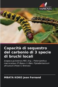 Capacità di sequestro del carbonio di 3 specie di bruchi locali