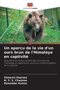 Un aperçu de la vie d'un ours brun de l'Himalaya en captivité