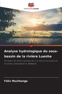 Analyse hydrologique du sous-bassin de la rivière Luenha