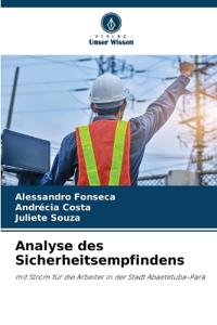 Analyse des Sicherheitsempfindens