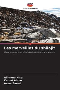 Les merveilles du shilajit