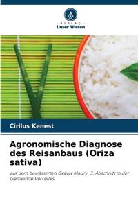 Agronomische Diagnose des Reisanbaus (Oriza sativa)