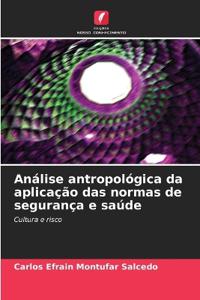 Análise antropológica da aplicação das normas de segurança e saúde