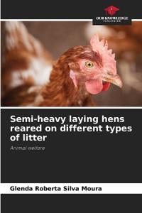 Semi-heavy laying hens reared on different types of litter