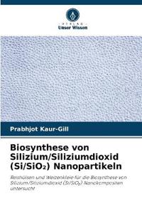 Biosynthese von Silizium/Siliziumdioxid (Si/SiO2) Nanopartikeln
