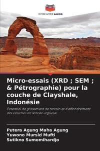 Micro-essais (XRD; SEM; & Pétrographie) pour la couche de Clayshale, Indonésie