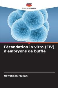 Fécondation in vitro (FIV) d'embryons de buffle