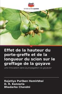 Effet de la hauteur du porte-greffe et de la longueur du scion sur le greffage de la goyave