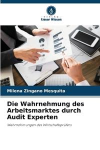 Die Wahrnehmung des Arbeitsmarktes durch Audit Experten