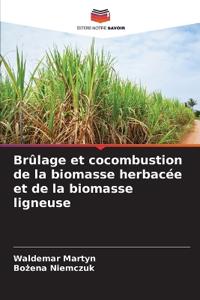 Brûlage et cocombustion de la biomasse herbacée et de la biomasse ligneuse