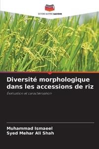 Diversité morphologique dans les accessions de riz