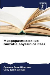 ???????????????? Guizotia abyssinica Cass