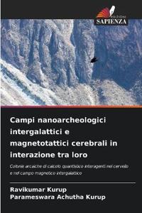 Campi nanoarcheologici intergalattici e magnetotattici cerebrali in interazione tra loro