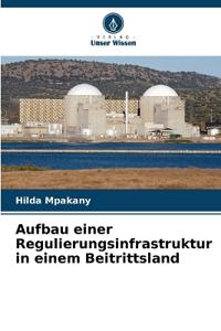 Aufbau einer Regulierungsinfrastruktur in einem Beitrittsland