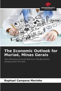 The Economic Outlook for Muriaé, Minas Gerais