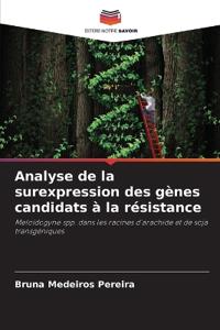 Analyse de la surexpression des gènes candidats à la résistance