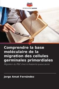 Comprendre la base moléculaire de la migration des cellules germinales primordiales