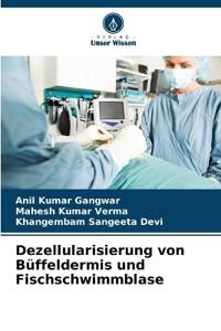 Dezellularisierung von Büffeldermis und Fischschwimmblase