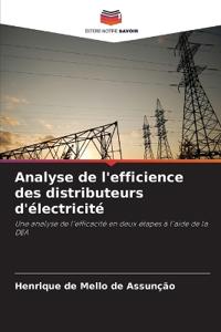 Analyse de l'efficience des distributeurs d'électricité