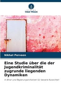 Eine Studie über die der Jugendkriminalität zugrunde liegenden Dynamiken