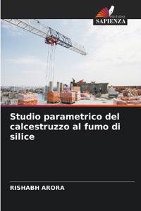 Studio parametrico del calcestruzzo al fumo di silice