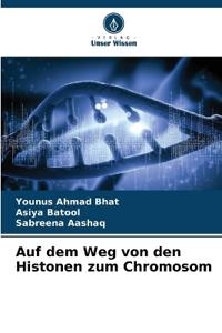 Auf dem Weg von den Histonen zum Chromosom