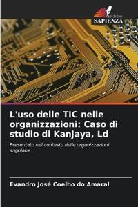 L'uso delle TIC nelle organizzazioni