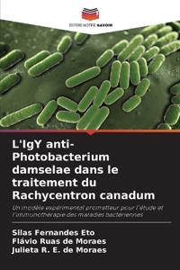 L'IgY anti-Photobacterium damselae dans le traitement du Rachycentron canadum