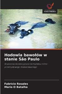 Hodowla bawolów w stanie São Paulo
