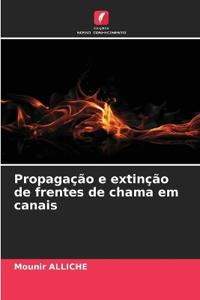Propagação e extinção de frentes de chama em canais