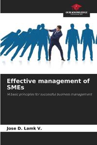 Effective management of SMEs