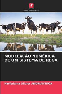 Modelação Numérica de Um Sistema de Rega