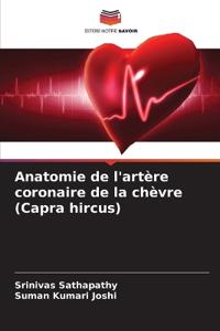 Anatomie de l'artère coronaire de la chèvre (Capra hircus)
