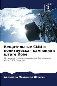 Вещательные СМИ и политическая кампания в