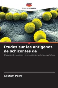 Études sur les antigènes de schizontes de