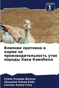 Влияние протеина в корме на производитель